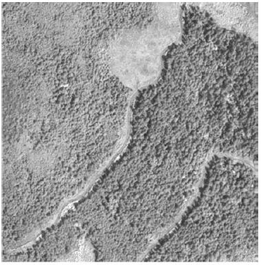 mikewulder's tweet photo. Tree-level spatial relationships inform on forest stand age.
@TrisalynNelson et al. Predicting #Forest Age Classes from High Spatial Resolution Remotely Sensed Imagery Using #Voronoi Polygon Aggregation. #IKONOS #pointpattern
Read: https://t.co/YM5IjQqd7G https://t.co/3OaprfODEh