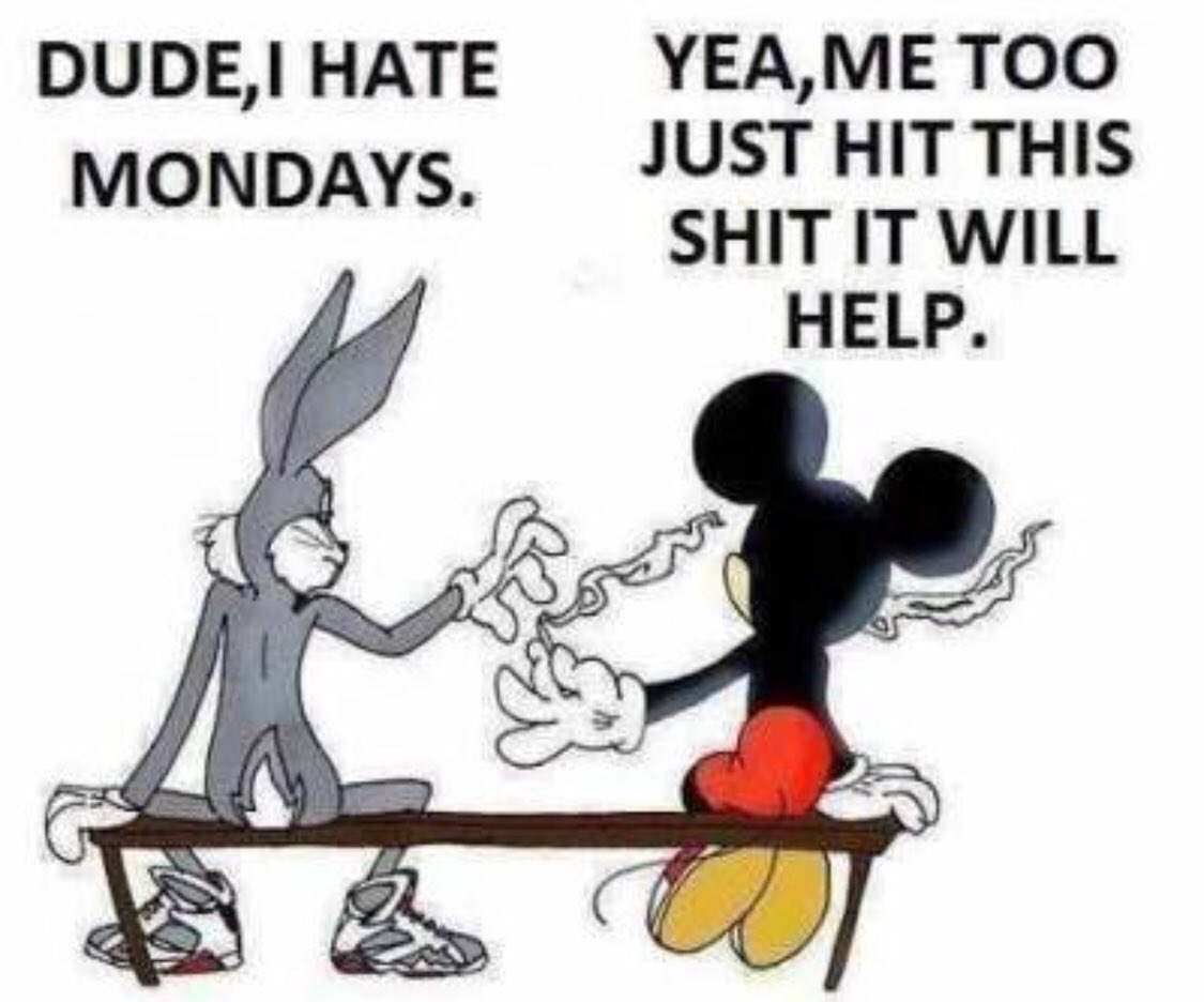 Troy_Icon's tweet photo. Mondays
@_jena4n @_HerbalZone_ @_TheWeedLyfe @_stonerchill @StonerNation @Hippie_of_Love @HoldMyBluntt @Transformaya @WeedEssence @WeedCode @weedweedstoner @Marijuana @MarijuanaPosts @MJSocietyWorld https://t.co/GmkC1IxnA3