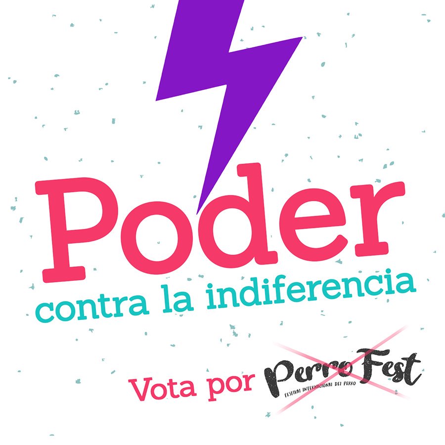 perro_fest's tweet photo. Perrofest México. https://t.co/nQhpAv6IQP