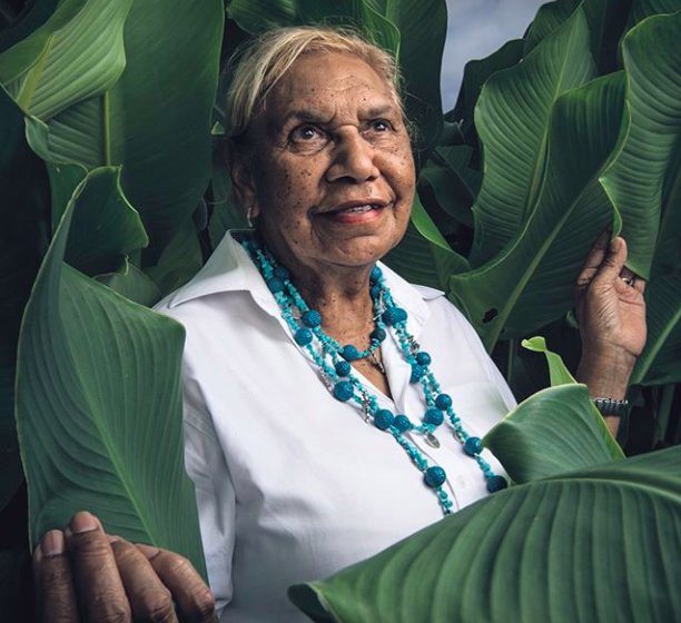 BeshaRodell's tweet photo. Thrilled to have contributed to this week's @goodfoodAU cover package, interviewing a ton of incredible women in Australian food, including Aunty Beryl Van-Oploo from the National Centre of Indigenous Excellence. This photo: ❤️❤️❤️❤️ https://t.co/nRcWDTBDr1