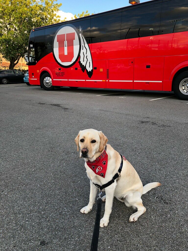 On a different note... Harper was out at all of our games this weekend!