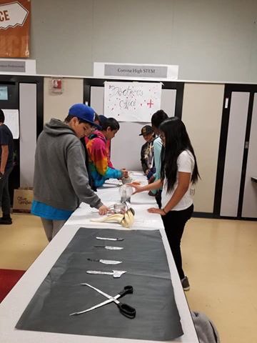 RaneyKnights's tweet photo. First annual Renaissance Fair led by IB Design students who wanted to create hands-on and fun activities for other students. #Raneyrocks #RaneyIB https://t.co/yWcrCyPcxL