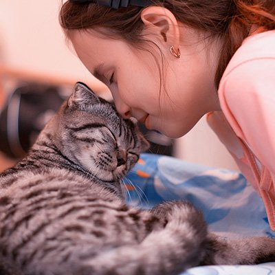 "As every cat owner knows, nobody owns a cat." - Ellen Perry Berkeley