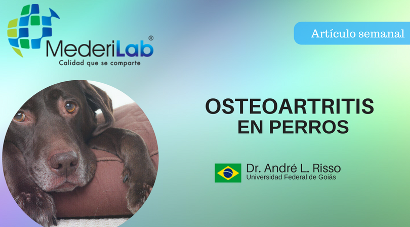 MederiLabMX's tweet photo. https://t.co/Yp8AGW22dK https://t.co/vlnrRg3zOi