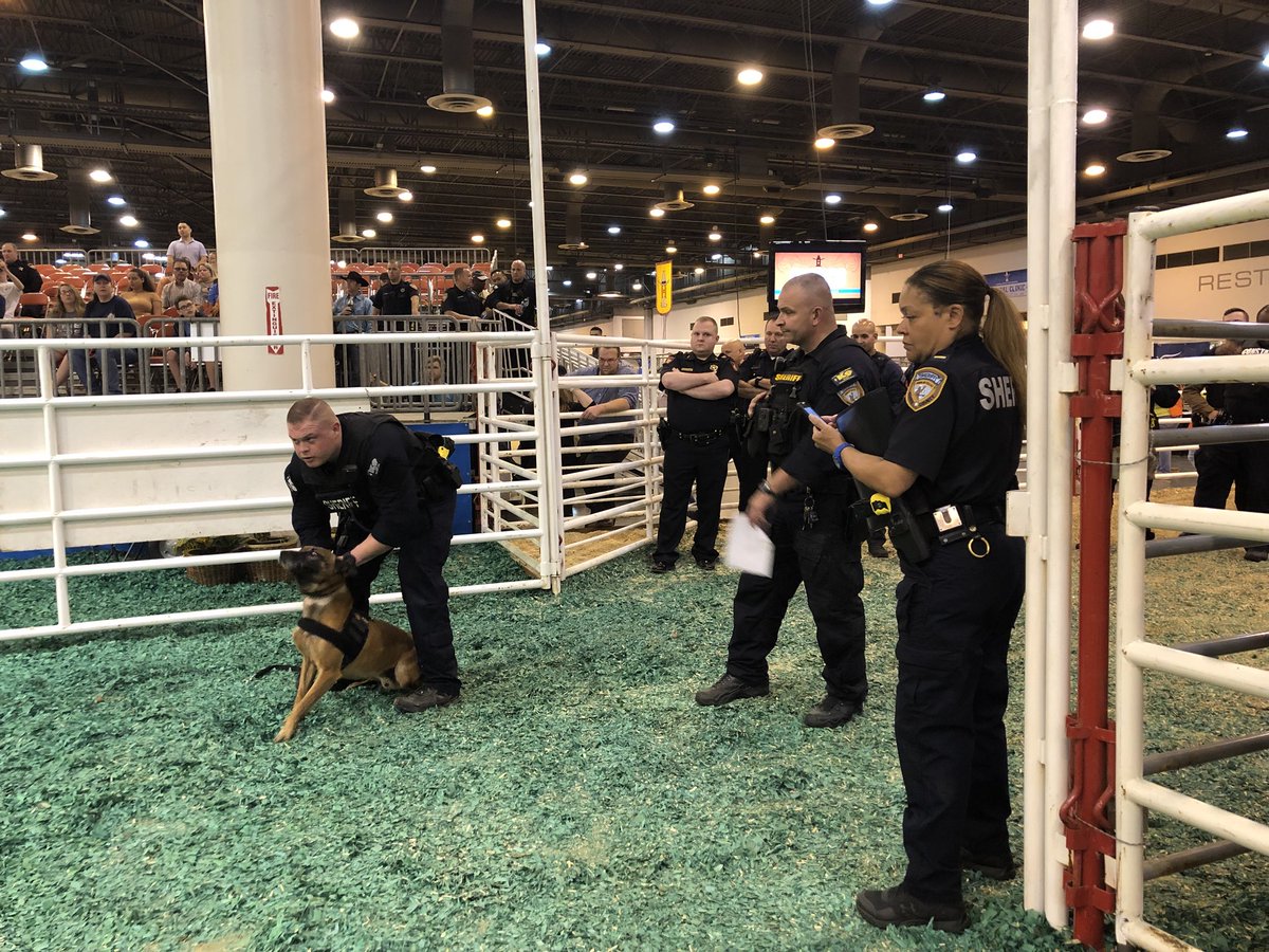 SheriffEd_HCSO's tweet image. Ready to watch @K9s4COPs Hard Dog, Fast Dog competition at @RODEOHOUSTON.  Cheering on Team @HCSOTexas 🐾 #K9s4COPs #HardDogFastDog