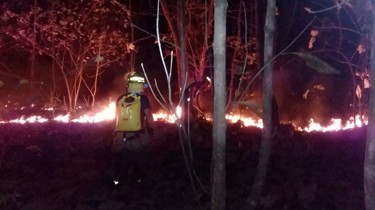 Personal de la Estación de Bomberos de La Villa, @bomberolosanto atienden incendio de masa vegetal (IMAVE), en un tecal en Villa Bonita, La Villa