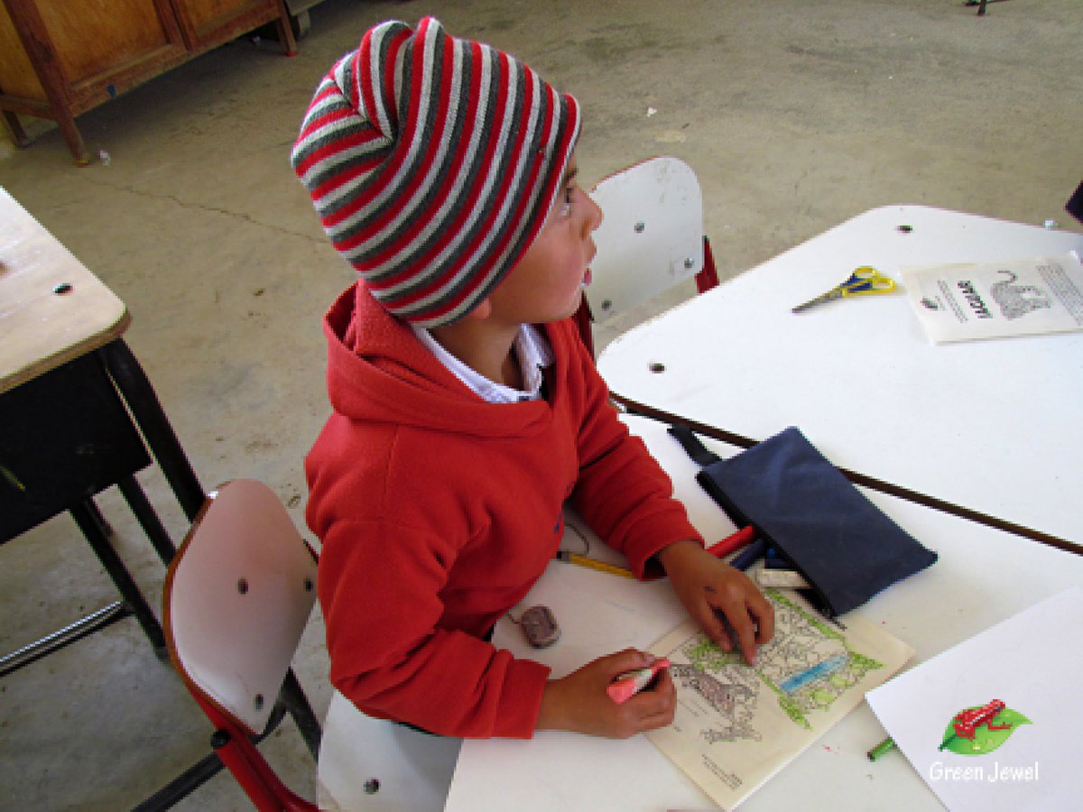 GrupoGreenJewel's tweet photo. EDUCACIÓN AMBIENTAL POR DIA MUNDIAL DE LA VIDA SILVESTRE [2/3]

Charlas, proyección de videos, cartillas y juegos sobre el "Jaguar" compartimos con los niños y niñas de las escuelas.

#WorldWildlifeDay #PredatorsUnderThreat #iProtectBigCats #WWD2018 https://t.co/AacH25Fn8Q