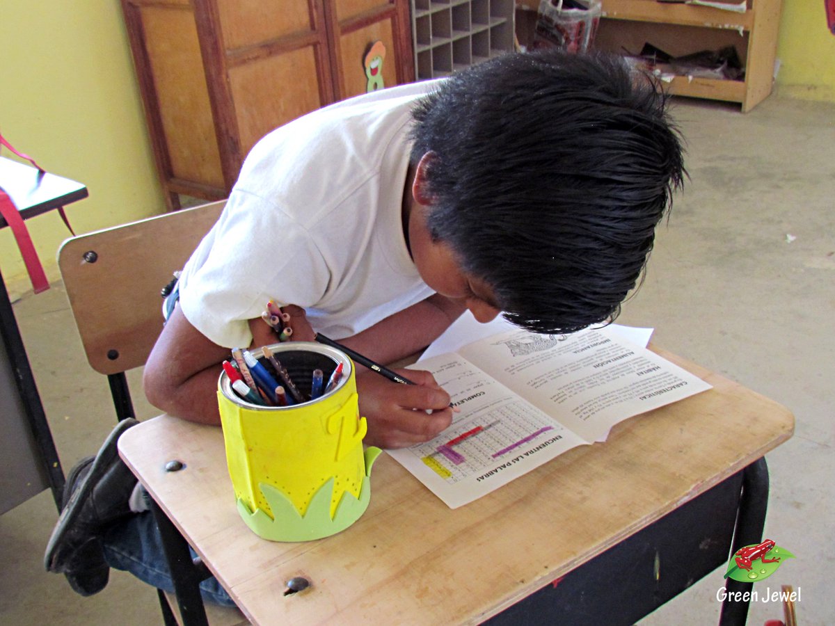 GrupoGreenJewel's tweet photo. EDUCACIÓN AMBIENTAL POR DIA MUNDIAL DE LA VIDA SILVESTRE [2/3]

Charlas, proyección de videos, cartillas y juegos sobre el "Jaguar" compartimos con los niños y niñas de las escuelas.

#WorldWildlifeDay #PredatorsUnderThreat #iProtectBigCats #WWD2018 https://t.co/AacH25Fn8Q
