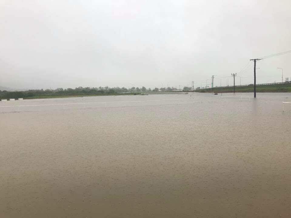 bradthompson83's tweet photo. This was the scene at the Townsville Turf Club last Wednesday. Less than a week later, they are racing on almost a good track (Soft 5). Modern miracle. https://t.co/a4GlhbtE4E