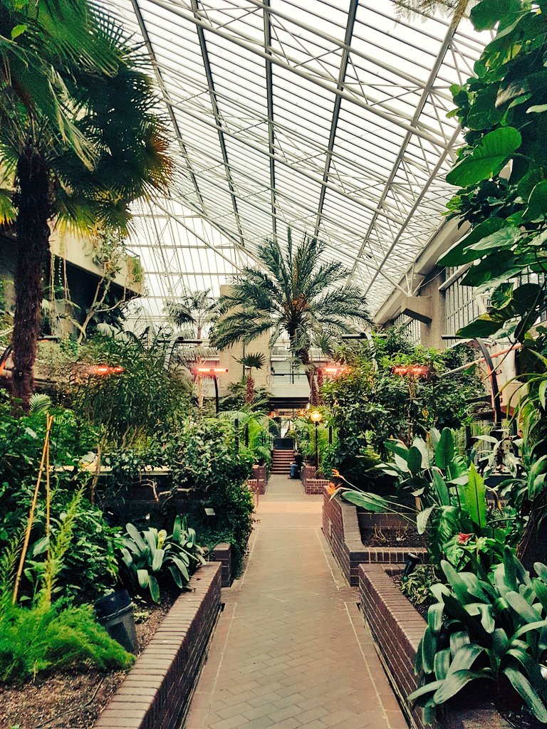 A quick break <a href="/BarbicanCentre/">Barbican Centre</a> #CSNConf18 to explore this beautiful concrete jungle!
@IoFCulture <a href="/yafnetwork/">YoungArtsFundraisers</a>