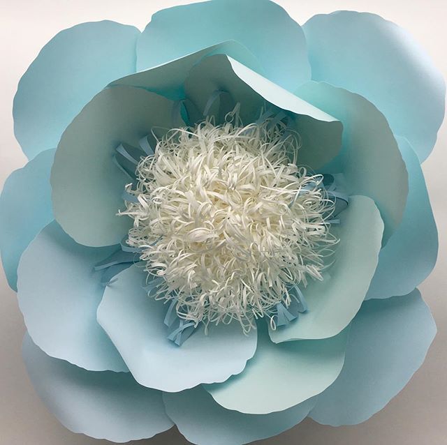 A baby blue version of the curly fringe flower. This template is available now! #silhouettecameo #paperflowers #paperflowerwall #flowerwall #cricutexploreair #crafts ift.tt/2FXpXuD