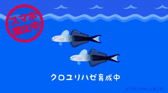 ぽむ スマやめ Bengakuganbari Twitter ぽむ スマやめ Bengakuganbari Twitter