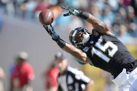 AussieJag's tweet image. Dear @Jaguars,

Please don’t let this man walk.

#ARob #AR15 #Weapon 

Yours sincerely,

Jags Fans Worldwide