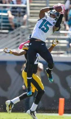 AussieJag's tweet image. Dear @Jaguars,

Please don’t let this man walk.

#ARob #AR15 #Weapon 

Yours sincerely,

Jags Fans Worldwide