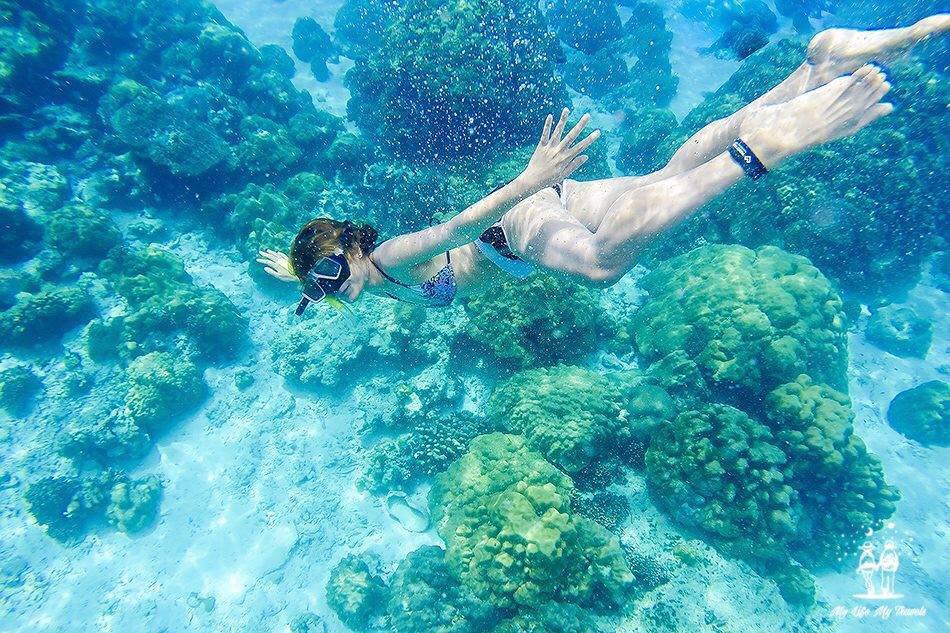 LinnaTC's tweet image. Beautiful beach with white powder sans and clear turquoise water. Worth a visit. #Rok Island Make your day unforgettable journey! #Krabi #Thailand
 #tourist #attraction #hotel #accommodation