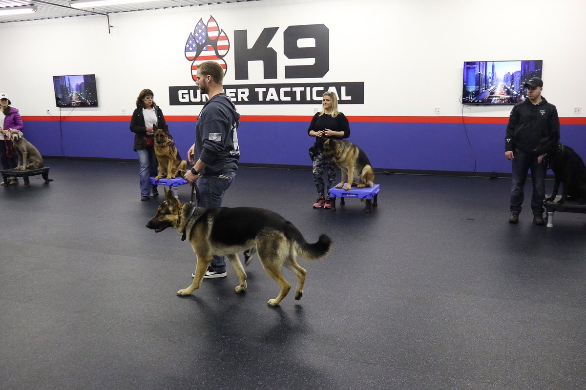 Group class is in session!!!! Sign up today by emailing my team at: info@k9gunnertactical.com Just $35/class, all breeds and all training levels welcome. #K9GT #k9gunnertactical #k9gtTeam #k9 #BuildaBondBuildTrustBuildyourTEAM  #team #k9gunnertacticalteam #dogtrainer #k9Partner