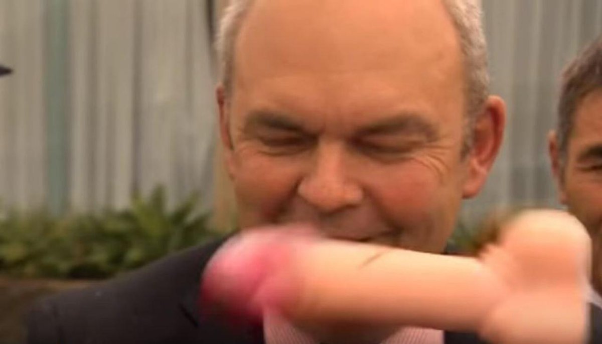frantastic_fran's tweet photo. the highlight of his political career summed up in this 1 image #nzpol thanks #StevenJoyce for the laugh... (& least we forget the wonderful thrower - bravo! 👏🏽) https://t.co/sH61ZFSD2d