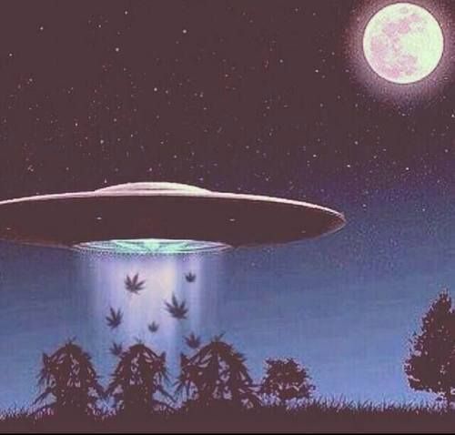 HighImHarvey's tweet photo. Nightly activities of the extraterrestrial. 👽🌿🛸

#Weed #Cannabis #Alien #Stoner #Marijuana https://t.co/LFmkcPHwlW