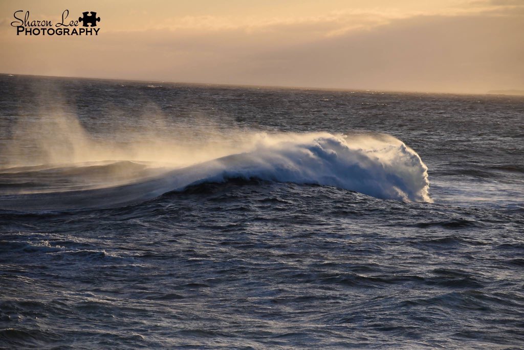 Can you see it? Look closely! (Taken Saturday at Peggys Cove by Sharon Ashley)