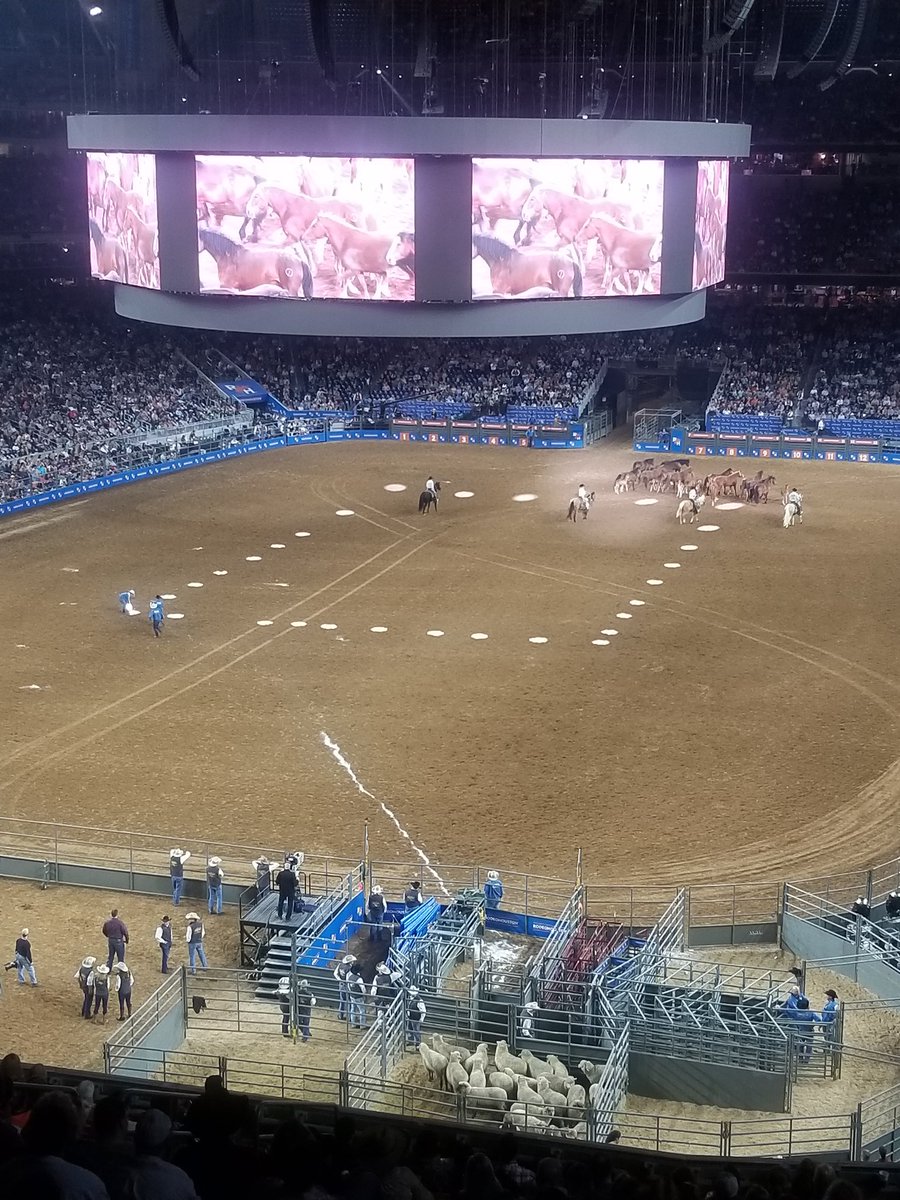 MichaelLeeMDMHA's tweet photo. Baylor PM&amp;R well represented #RODEOHOUSTON https://t.co/N29uIYmT0Q