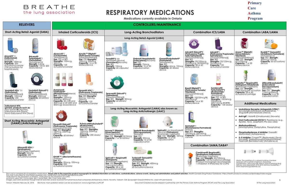 Asthma Chart Pdf