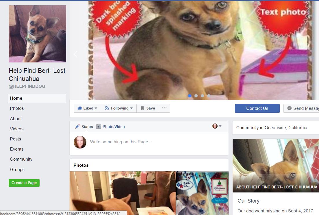 hermsthepuggle's tweet image. facebook.com/HELPFINDDOG/  Help and share this family needs a miracle help find Bert