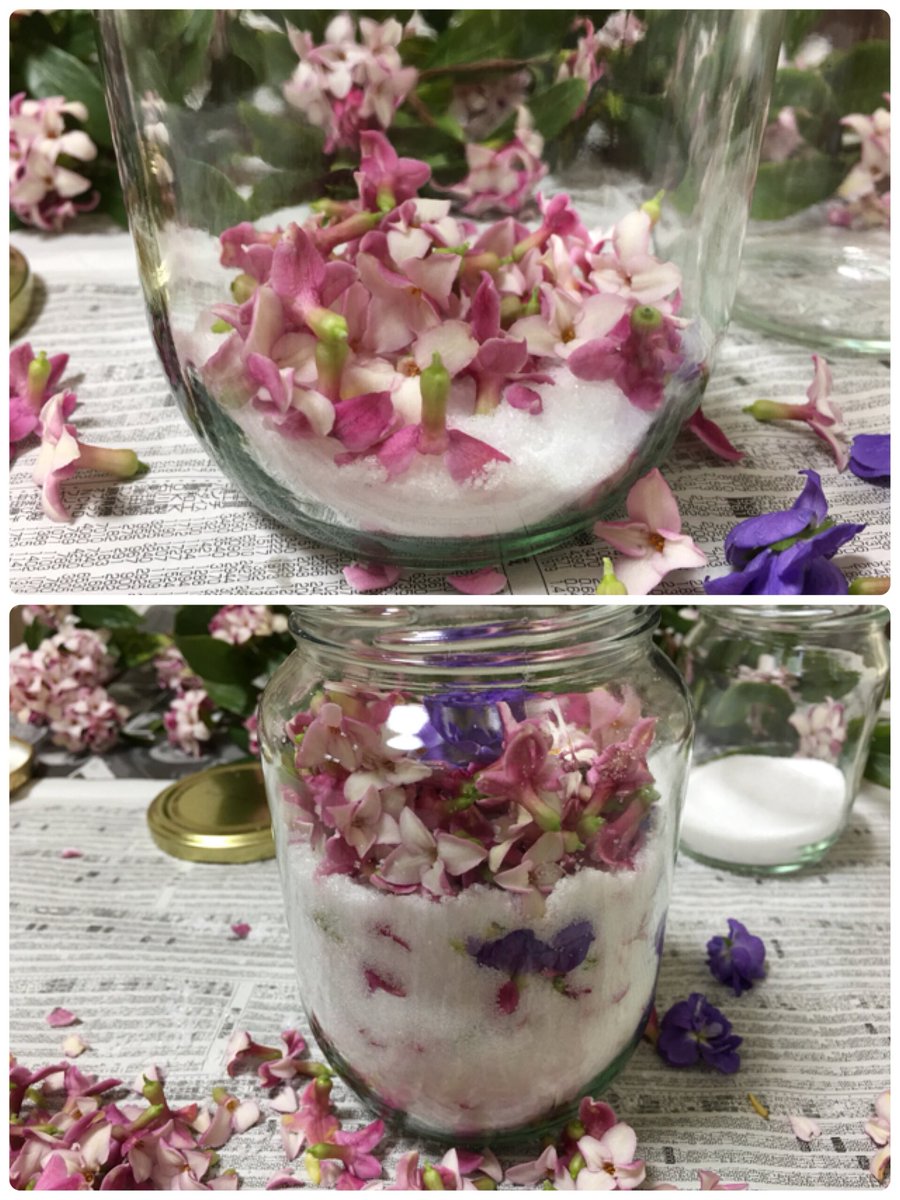 Inori 沈丁花のモイストポプリを作りました 花を少し乾かしてお塩と交互に瓶に詰めます 2年前作ったものはメキシカンセージとブレンドしました 今回はニオイスミレを入れてみました 作った日の出来事や自分の環境