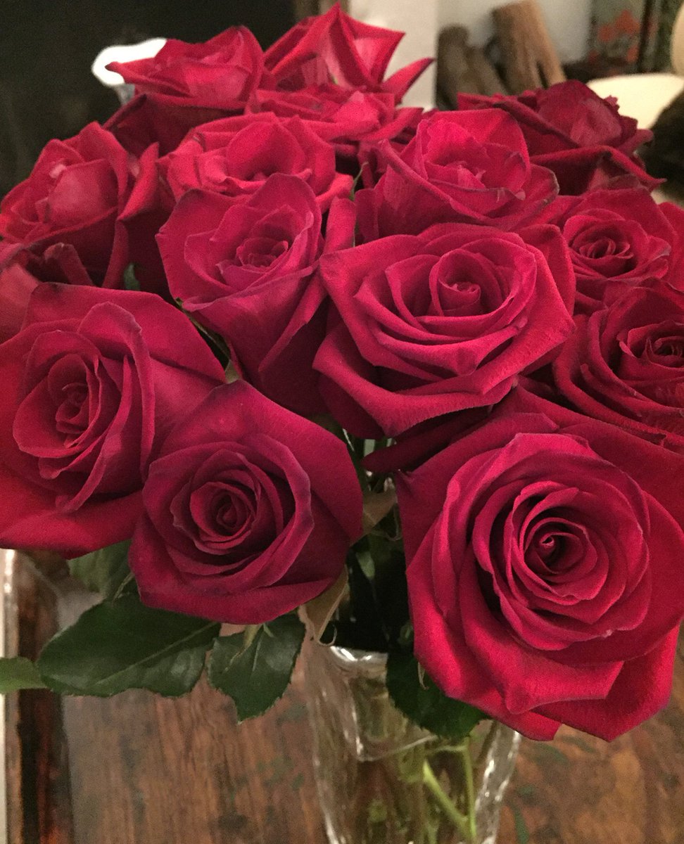 CalBlooms's tweet photo. Thanks to our fabulous customer, Pete for sending us this pic of our roses that he sent to his wife on Valentine's Day! They were at two weeks and still going strong! https://t.co/sDSrhE7d57