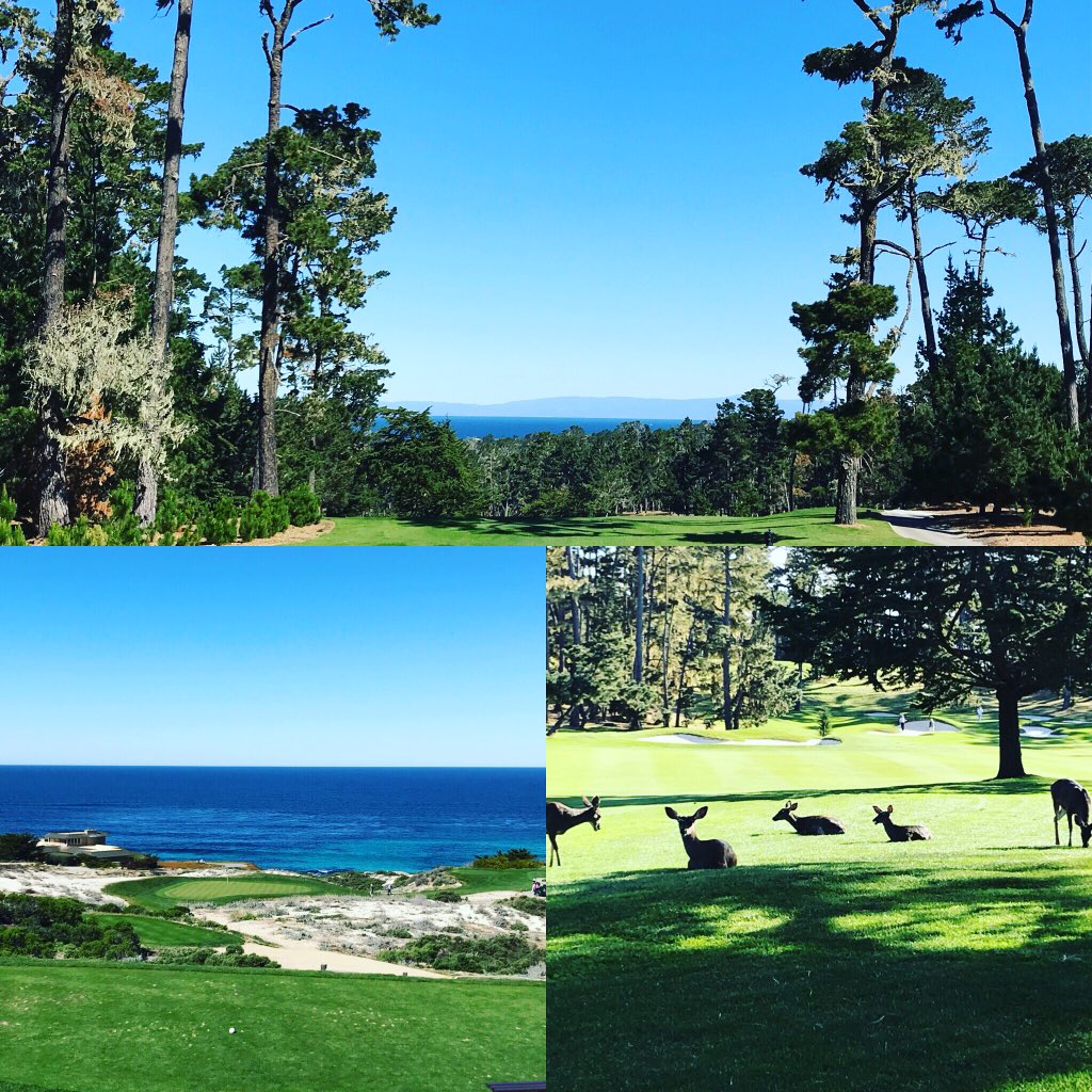 Amazing day today and Spyglass Hill for round 1 of #pebblebaby . #golf #pebblebeach #california #californiadreaming <a href="/vb_golf/">VB Golf</a> <a href="/BKZIAM/">Iam__hiba__bkz</a> <a href="/Tedderon1/">Ted Paradis</a>