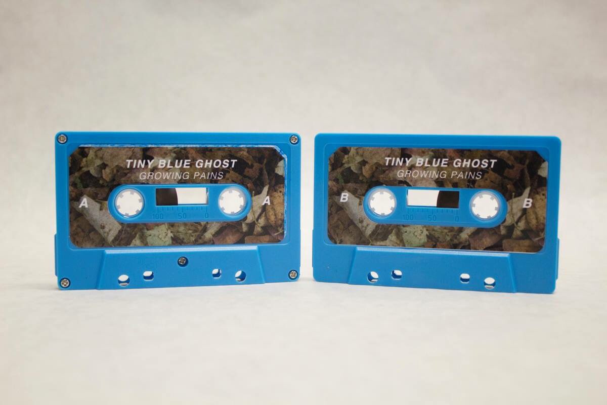 Marissa Carroll tweet media