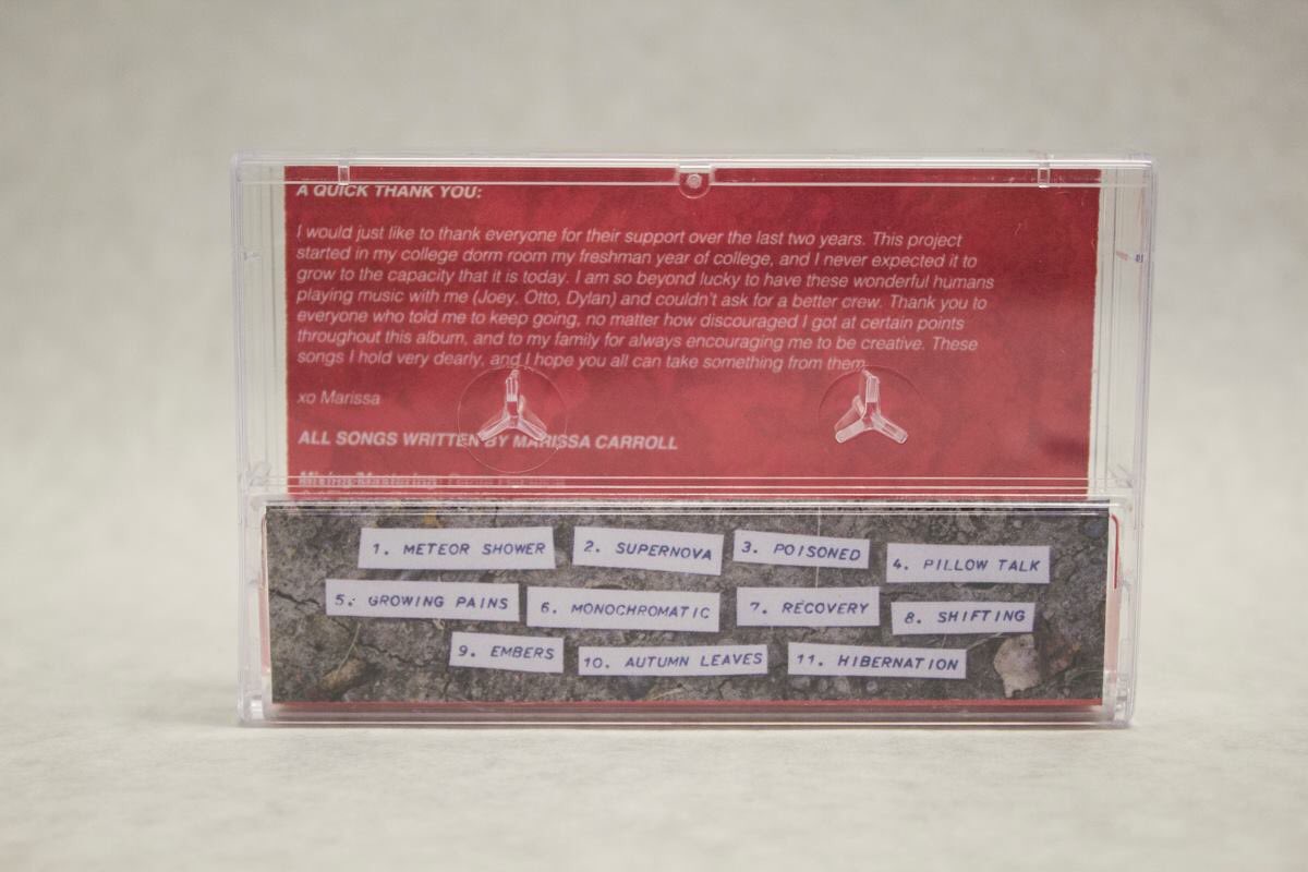 Cassette design for <a href="/tinyblueghost/">Tiny Blue Ghost "Between the Botanicals" out NOW ✨</a>!