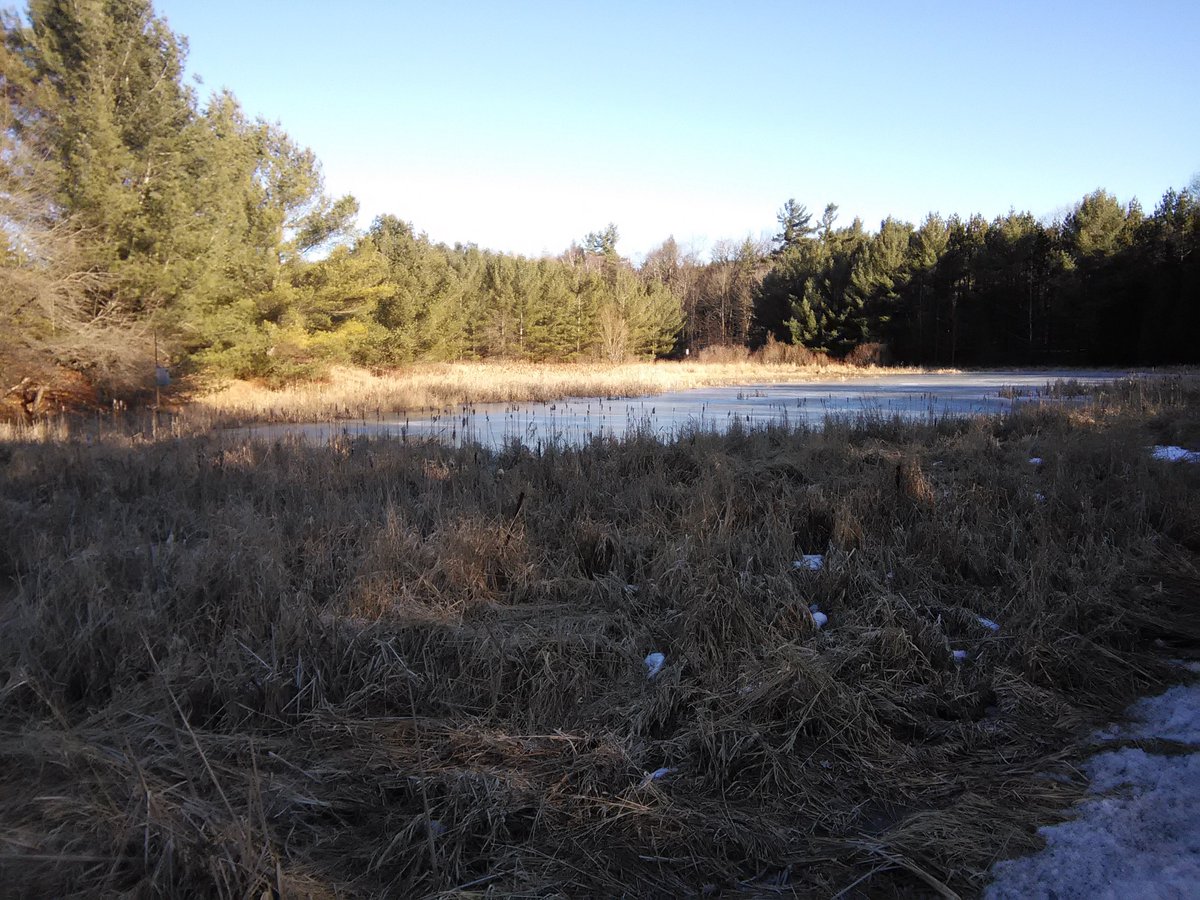 GTAOutdoors's tweet photo. #Hiked at Humber Source Woods near Nobleton in #King Township recently. Moderate terrain. Ice cleets a good idea. https://t.co/tsKyvTskUf