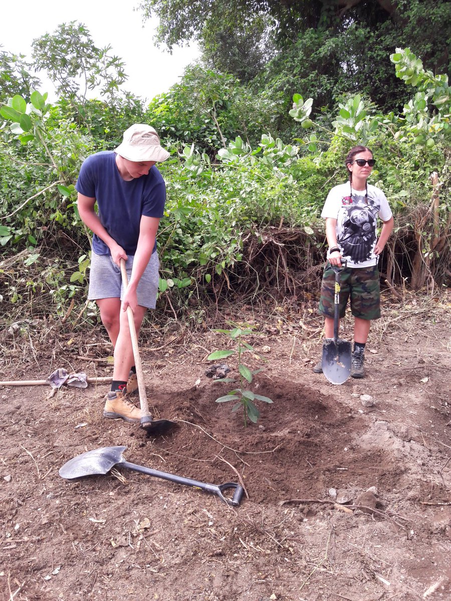 Day 4. Planting fruit trees for the school