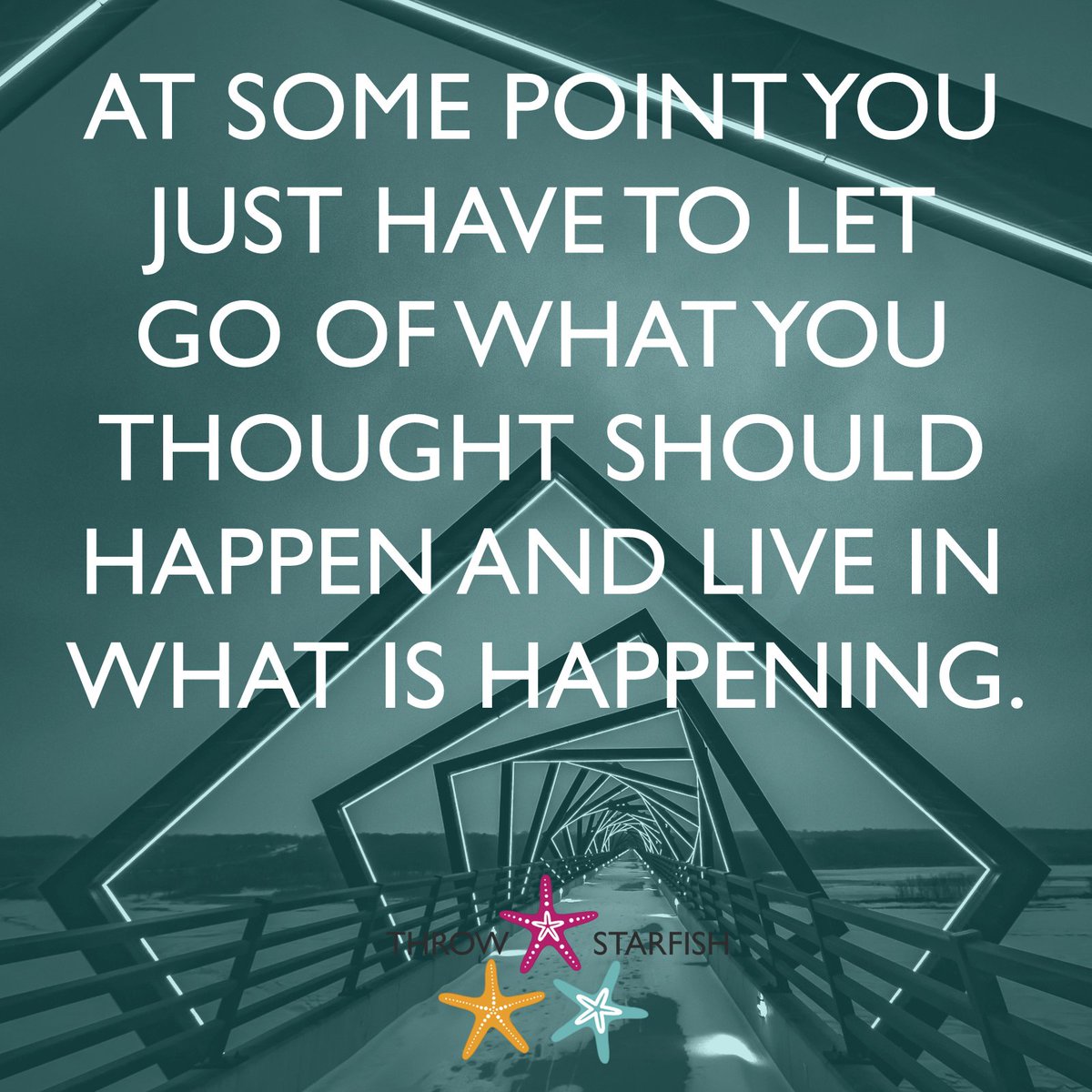 At some point you just have to let go of what you thought should happen and live what is happening.
You can #Listen to episodes of our #Podcast at throwstarfish.com #ThrowStarfish