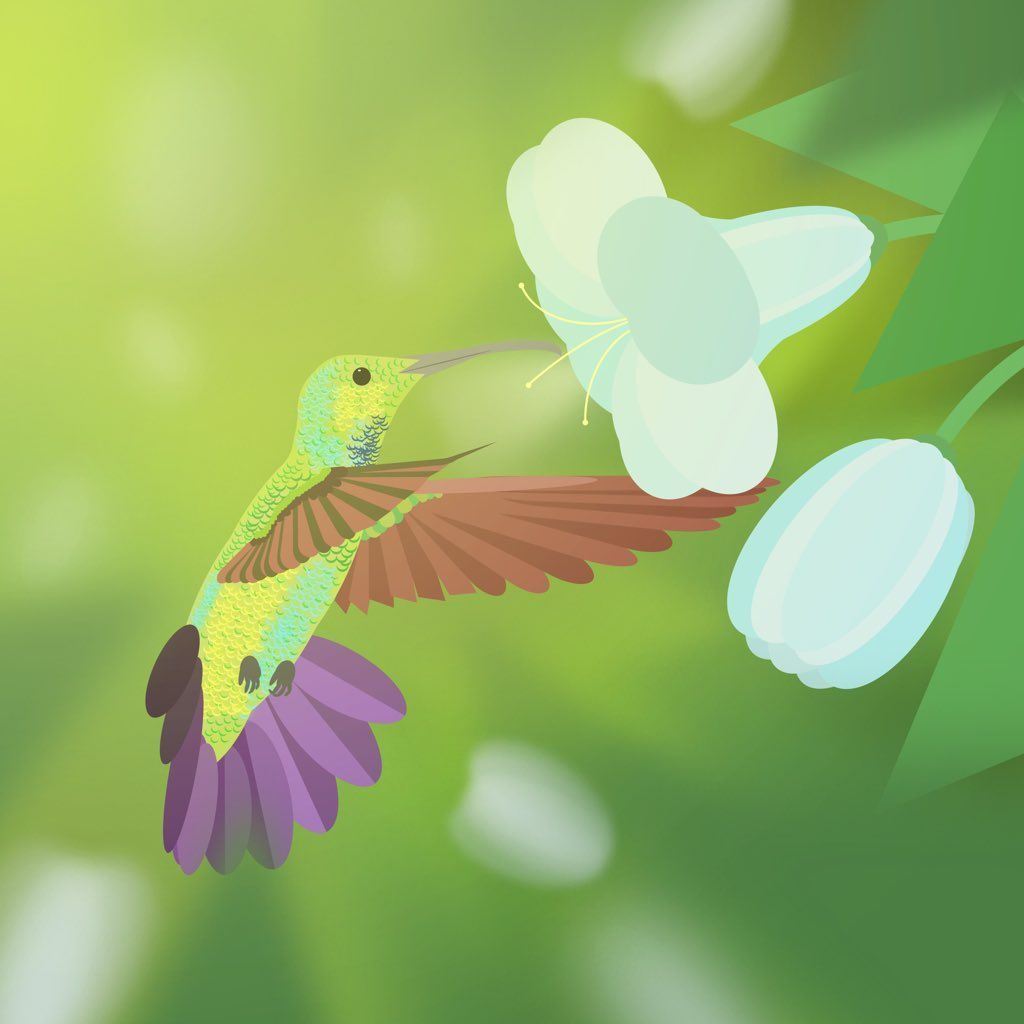 Did you know that hummingbirds can dive at up to 60 miles per hour?! Good thing @SamuelVDesigns captured one using Assembly so we could see it up close. 

#assemblyapp
