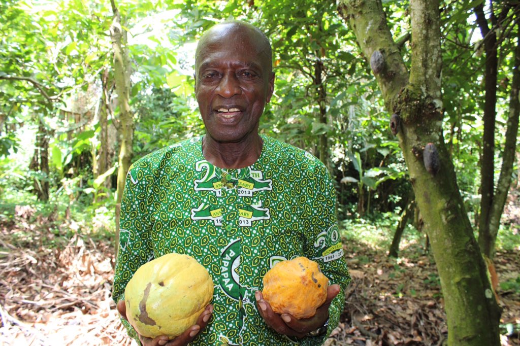 KuapaKokoo's tweet photo. Happy Independence Day to our cherished farmers who produce #papapaa cocoa beans!!#ayekoo#Ghana https://t.co/uAYxVDAzU7