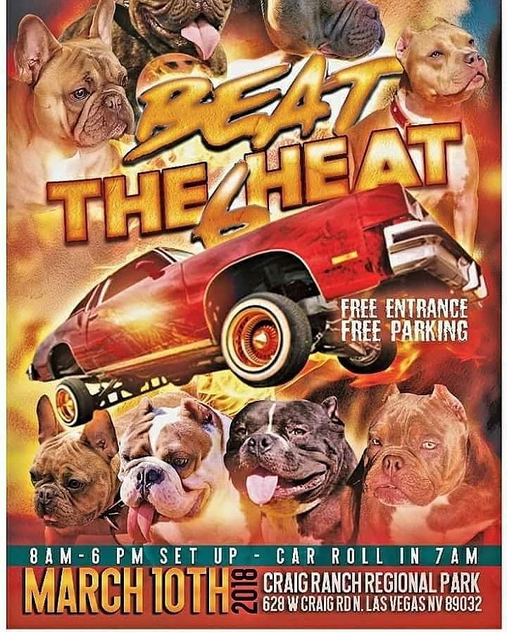 roach_solano's tweet image. #LasVegas #MEGABULLYFUNSHOW #CARSHOW #BBQ #CARHOPING #CCBC  #SilverStatePetShop #Bboysbullies #LAlogos #funshow #SOLANOBULLYS #Caliconnectedbullycrew #SilverStatePetShopLongbeach #BBOYSBULLYS #LAlogos