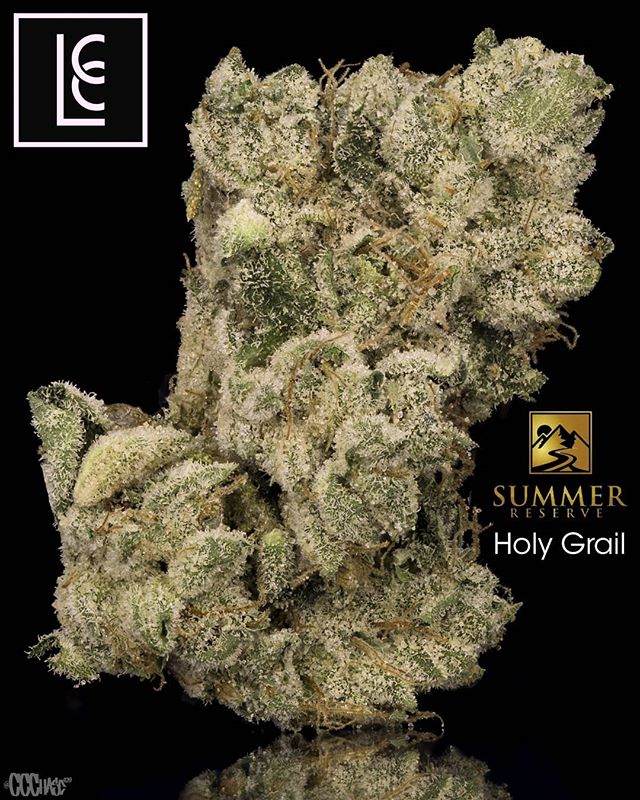 LeftcoastC's tweet photo. Some frosty Holy Grail from @summer_reserve at @leftcoastcollective619 📷❄️🌲🔥✝️#leftcoastcollective #ccc420 📷: @ccchase420 https://t.co/OyevbBzjNb