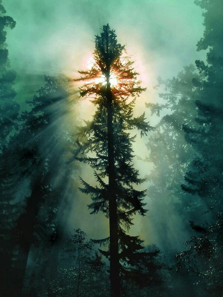 єαятн вєαυту (@addictedpixe) on Twitter photo 