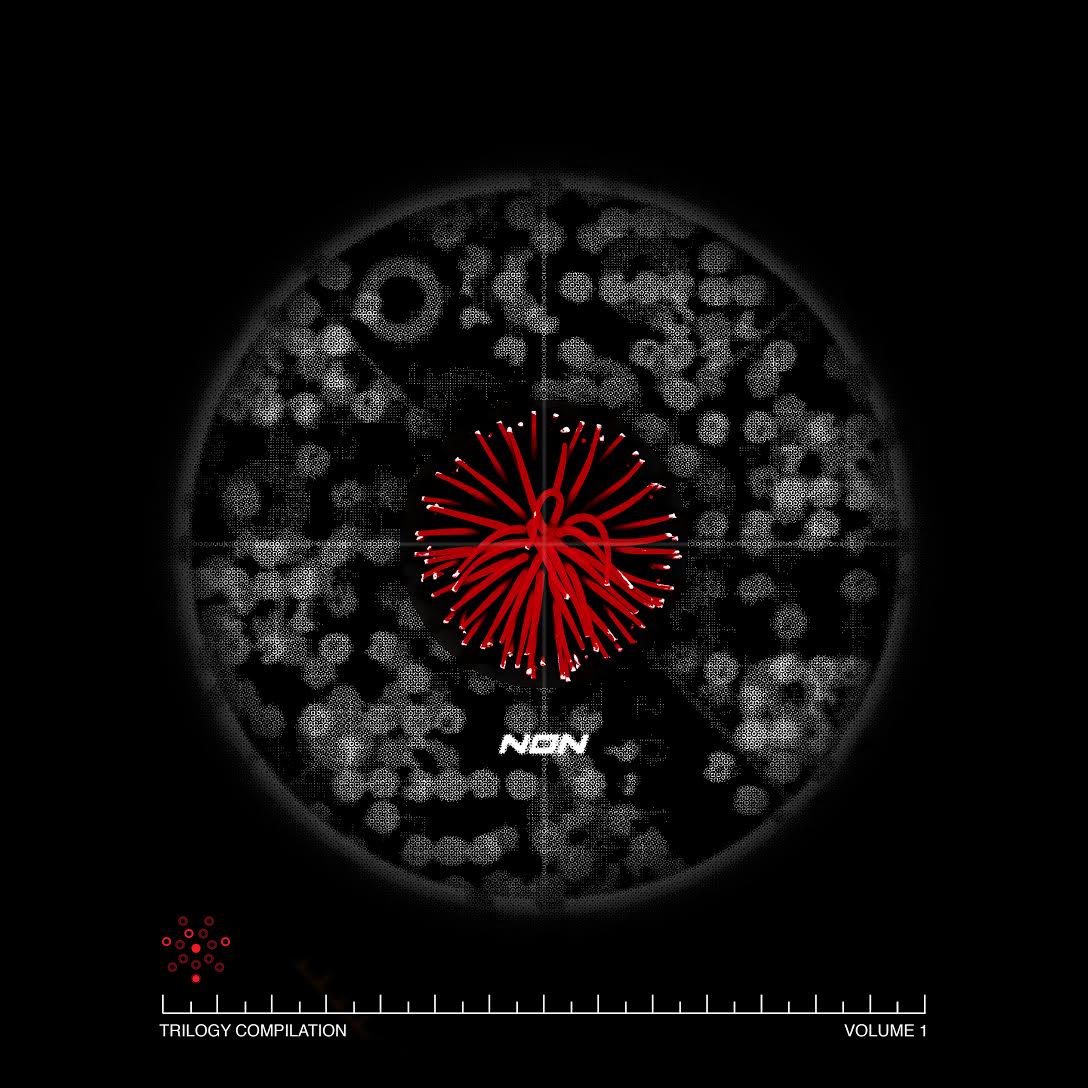 NON WORLDWIDE tweet media