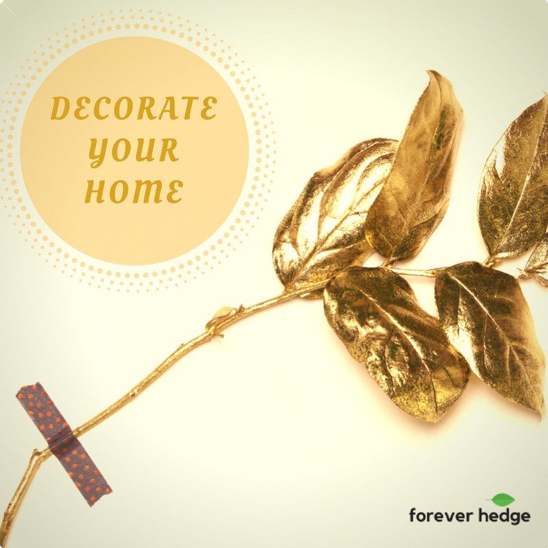 forever_hedge's tweet photo. Behind every attractive room, there should be a very good reason!
And yours can be #greenery, make your bedroom, kitchen or living room a place to love.
#LivingWall #VerticalGarden #GardenGoals #interiordesign #homegarden #ForeverHedge #green #indoorgarden #wallgarden #modernhome https://t.co/OgYj132CQK