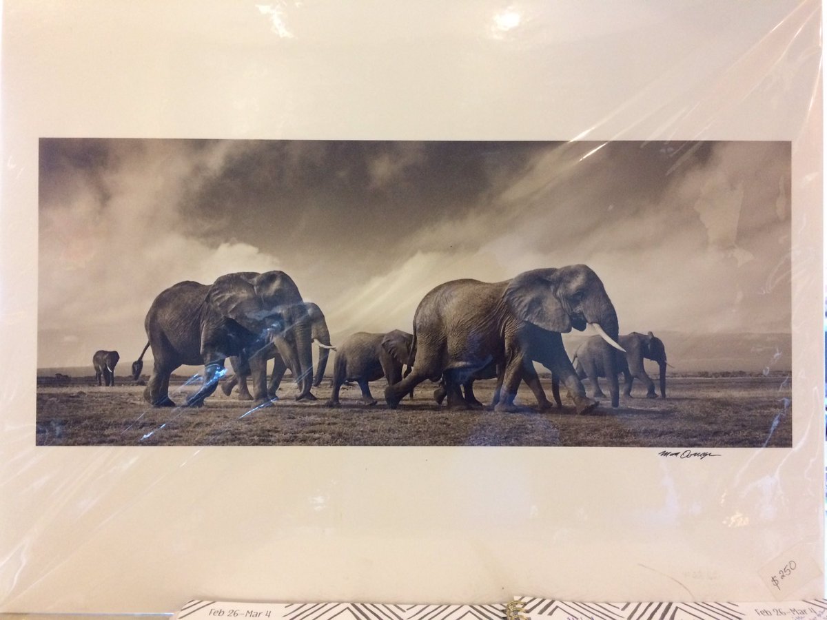 Cafedesta's tweet photo. Arts for sale #cafedesta https://t.co/Xq6taq84jq