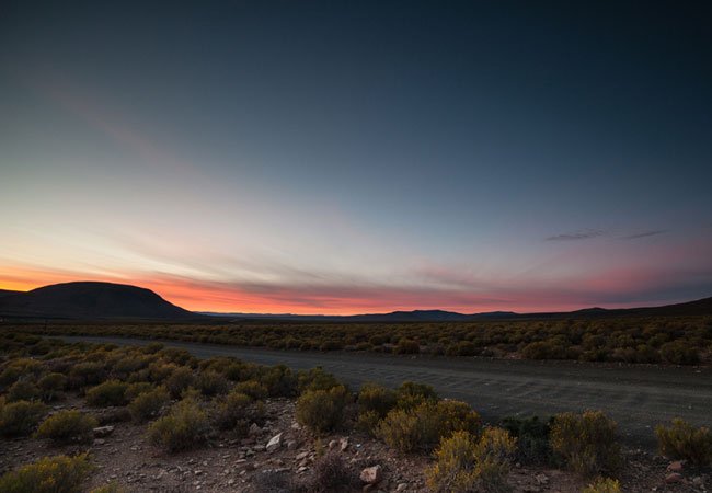 “It is not the strongest species that survive, nor the most intelligent, but the most responsive to change.” - Good Morning Peeps &amp; Happy #Chooseday 
#TuesdayMotivation #businessmatters #DigitalTransformation 
@TheMaruruns @krugerviewza @marlothlodgeza <a href="/BsorahCamp/">B'sorah Adventures</a> <a href="/birdsonggh/">Birdsong GuestHouse</a>