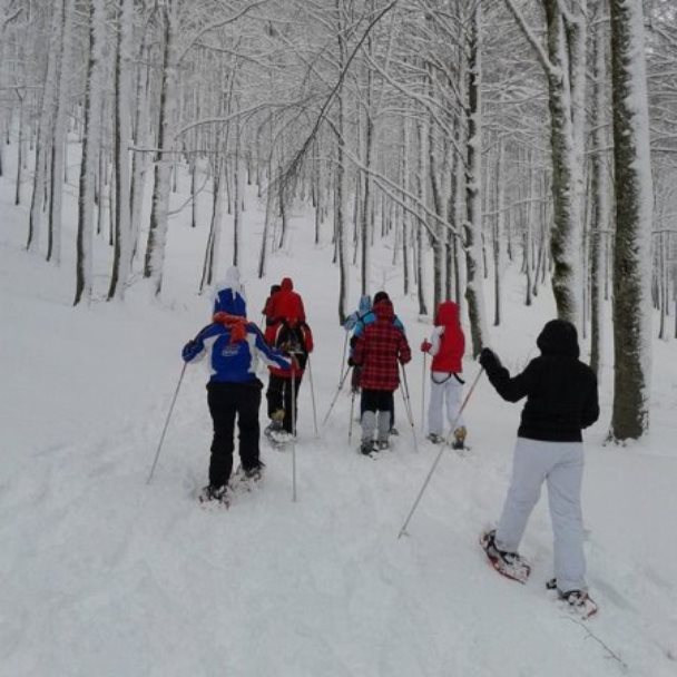 AbruzzoinRete's tweet photo. ESCURSIONE CON LE CIASPOLE...PER PRINCIPIANTI IL 07/03/2018 A PESCASSEROLI #eventiLAQUILA #eventiABRUZZO #eventiPESCASSEROLI #eventinABRUZZO https://t.co/MrbtY8g9Xo https://t.co/rUB8bUPtwF