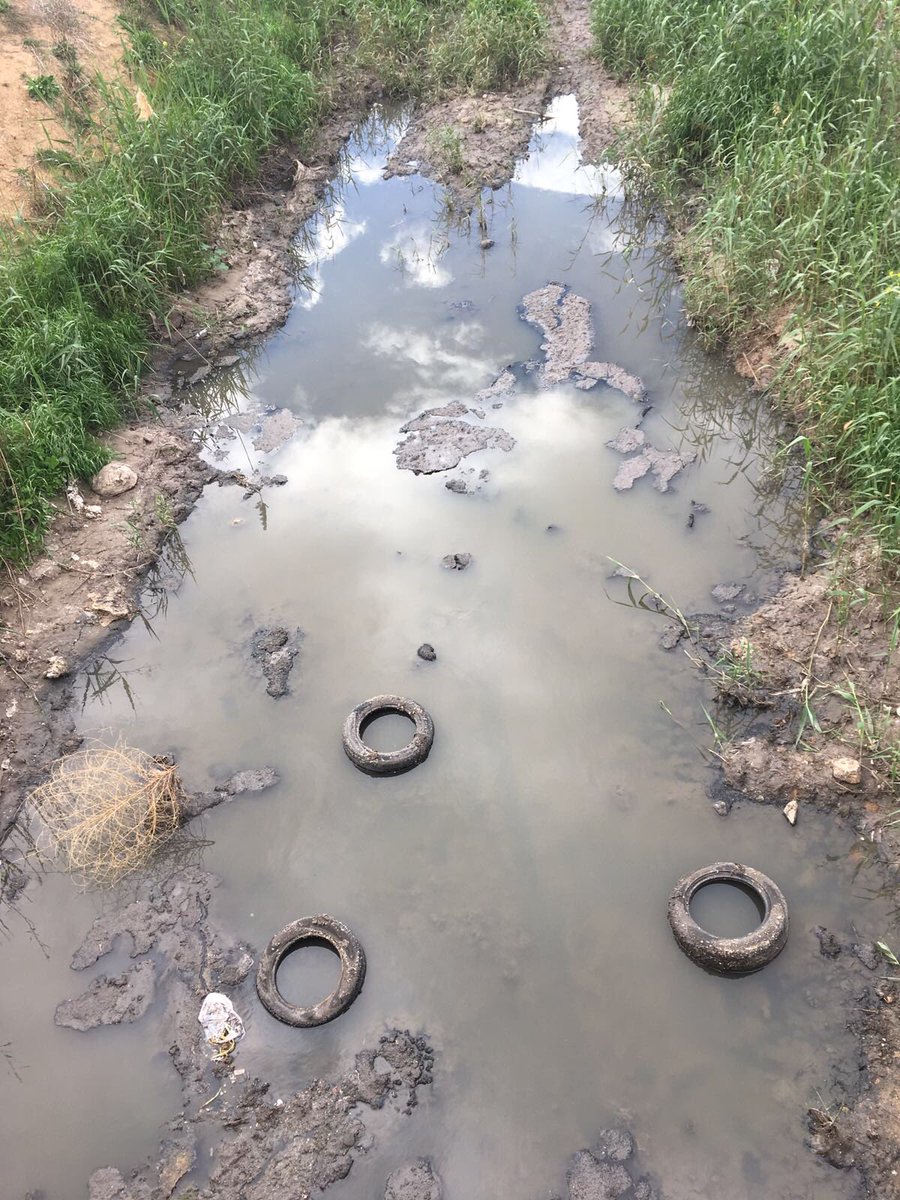 Fernandocvera's tweet photo. Otra vez aguas fecales en rambla dl Albujon junto al aliviadero de depuradora de @TPacheco_Ayto , aquí todo el mundo mira a los agricultores y nadie a las administraciones @regiondemurcia @LopezMirasF @COAGMurcia @fecoam @ProaguaC @PPregional @PSOE_RM @podemosmurcia @CiudadanosCs https://t.co/p7qViaeI8d