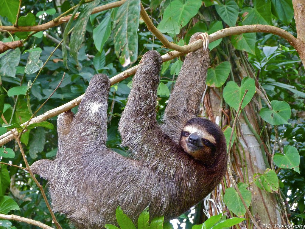 Slow Down – Get yummy #vegan recipes with One Green Planet's Newsletter!
onegreenplanet.org/newsletter #AnimalRights #Eco