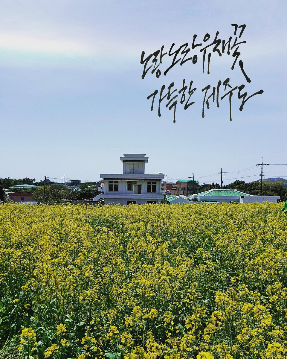 md7681's tweet photo. 벌써 1년전 ᆢ다시 봄이 찾아왔다ㆍ https://t.co/T20o1QPJtY