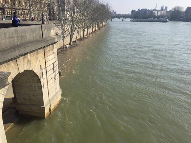 mmeouioui's tweet photo. La Seine PARIS. #Bateaux Mouches #bluesky #lecieldeparis #paris #parisphoto #instaparis #bateauxmouches #laseine #parisriver #seineriver #parisnice #parispic #iloveparis #jetaimeparis #paricity #instaparis #parisnsta #iloveparis #laseine #paristiver #riv… https://t.co/rGZN53AaYJ https://t.co/W3A0AXS4t4