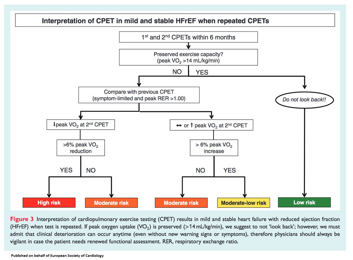 ESC_Journals's tweet photo. Role of #cardiopulmonary exercise testing #CPET in clinical stratification in #HeartFailure . A position paper from the Committee on Exercise Physiology and Training of the Heart Failure Association of @escardio https://t.co/SeC2tjWMAA
#cardiology #Cardiotwitter #CardioEd https://t.co/ItoBXJMt8f