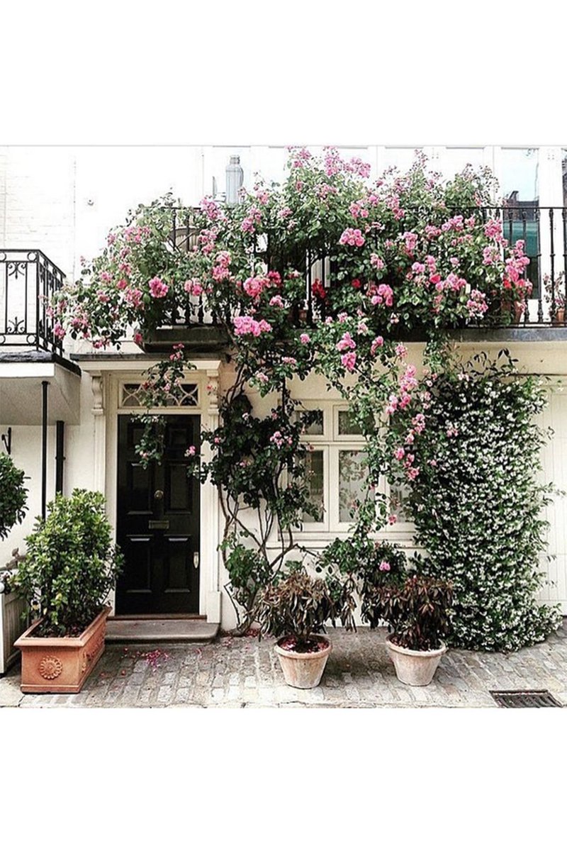 House & Garden Magazine tweet media